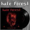 Předchozí: Hate Forest - Sowing With Salt EP