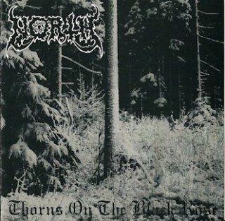 North - Thorns on the Black Rose CD